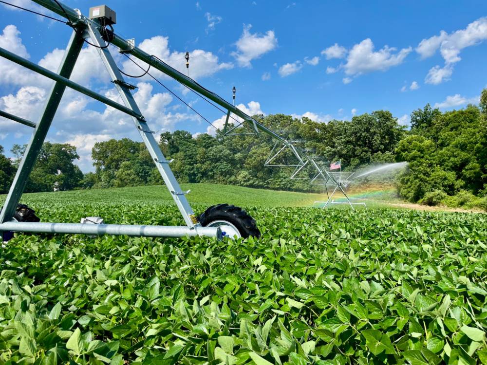 pivot watering crops