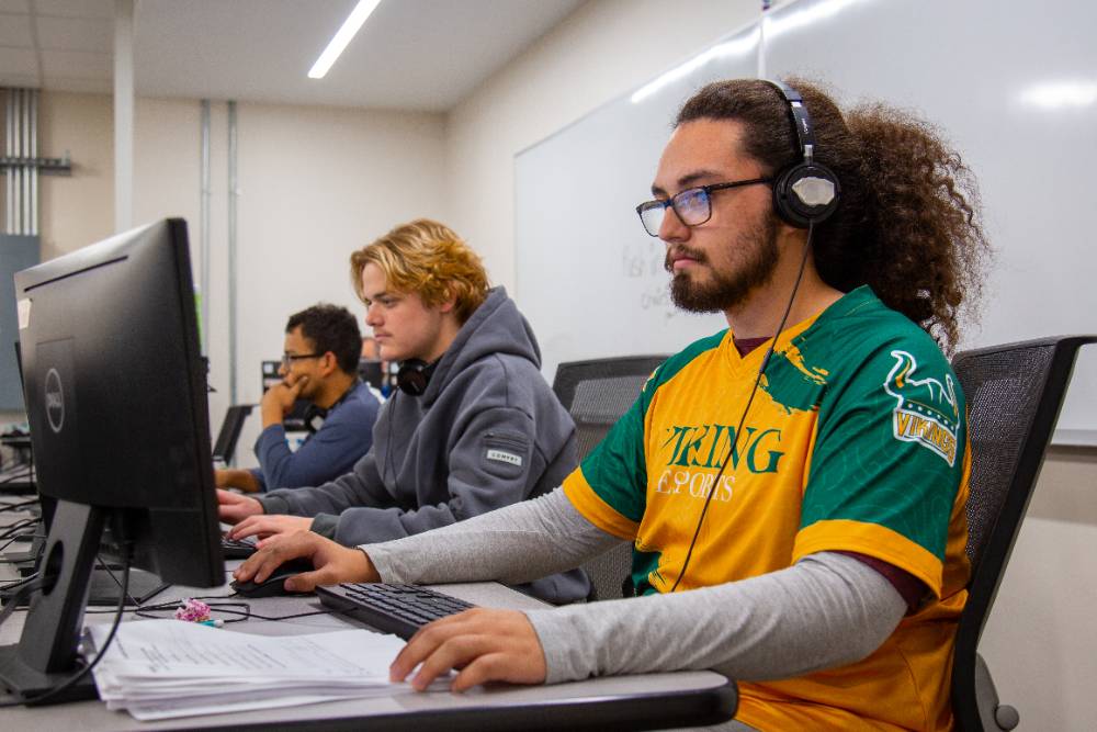 Students sitting in front of computers in computer class